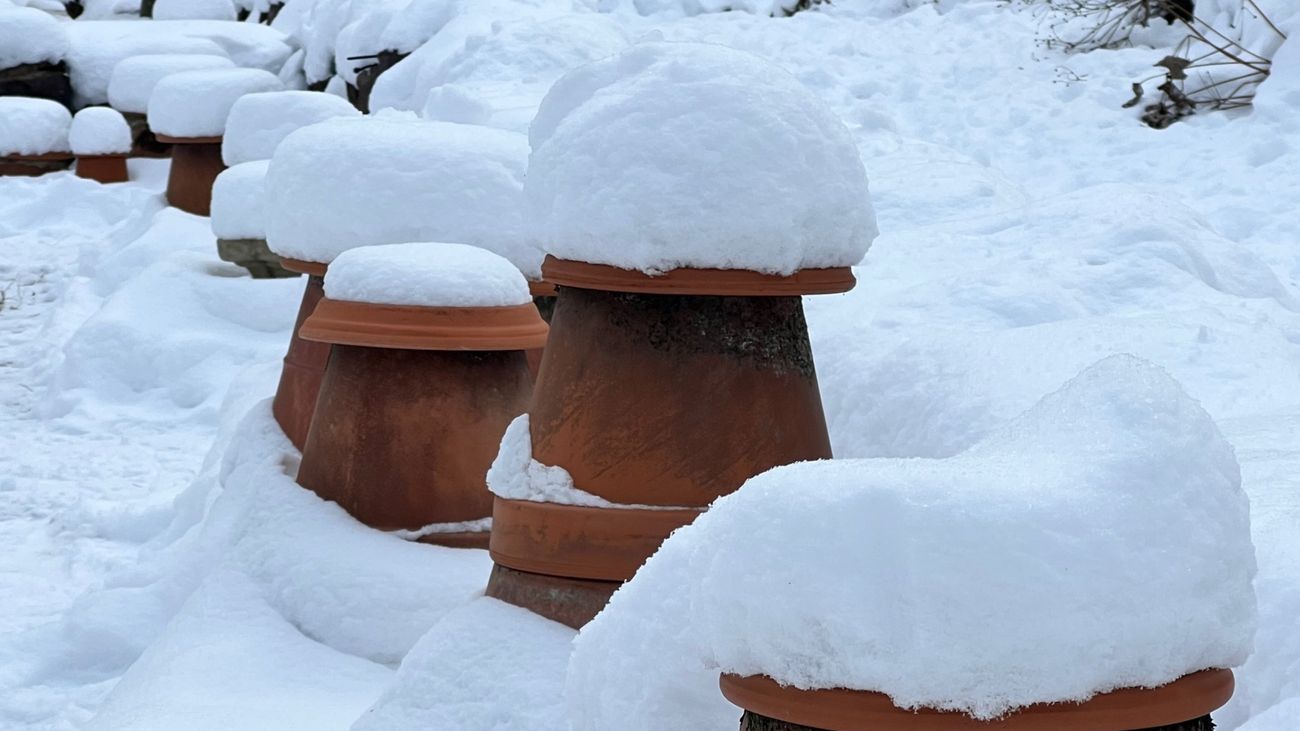 The Winter of our Discontent