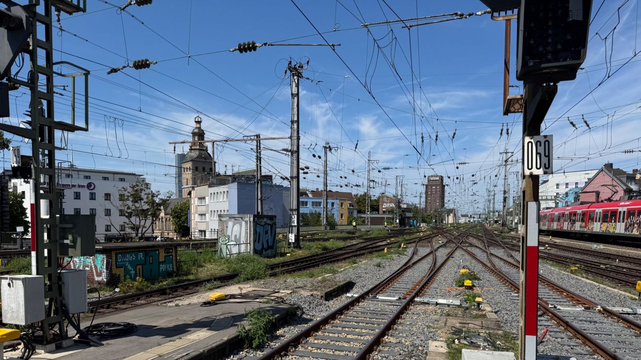 Train Track Takeover: Wilding Along the Railway Lines