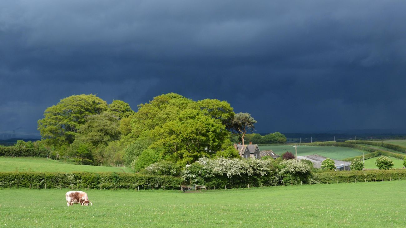 Reflections on a Farming Century