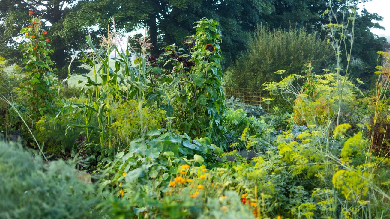 How to Grow Just About Anything