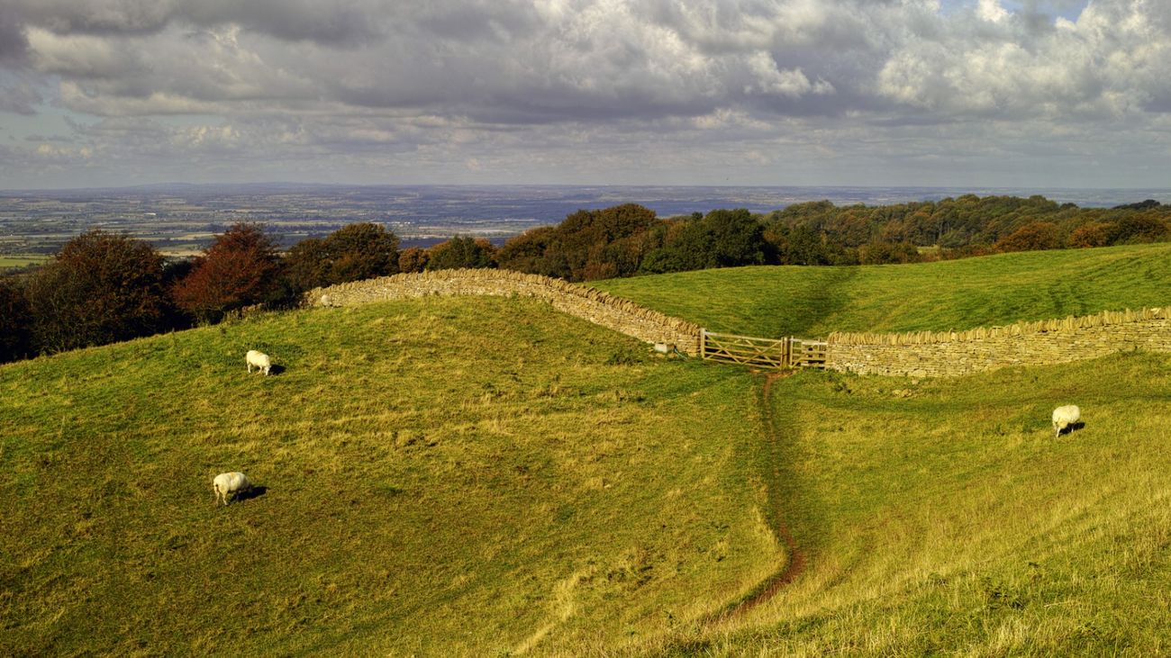 Stone, Branch & Thorn: The Importance of Boundaries in the Countryside