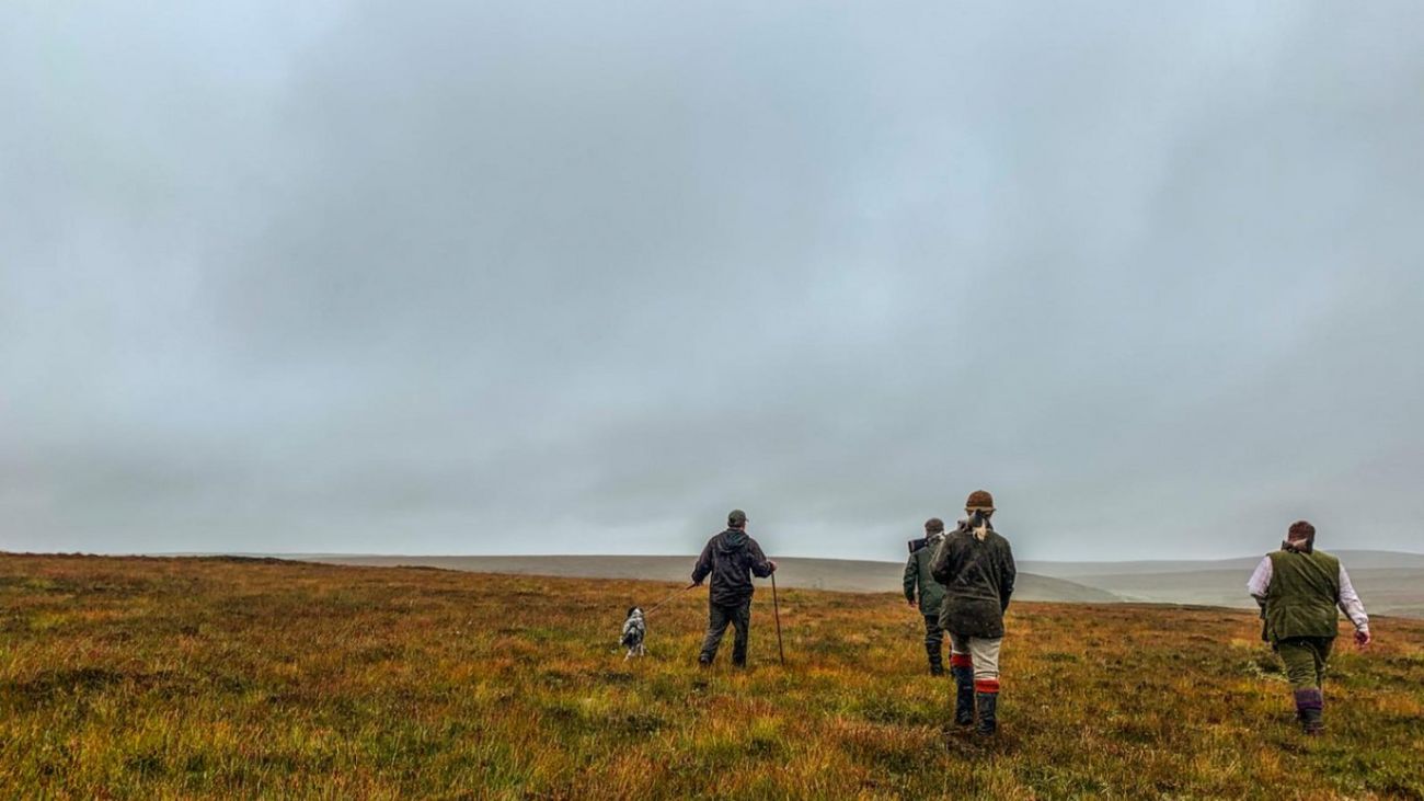 Chasing Grouse with English Setters in Scotland's Highlands