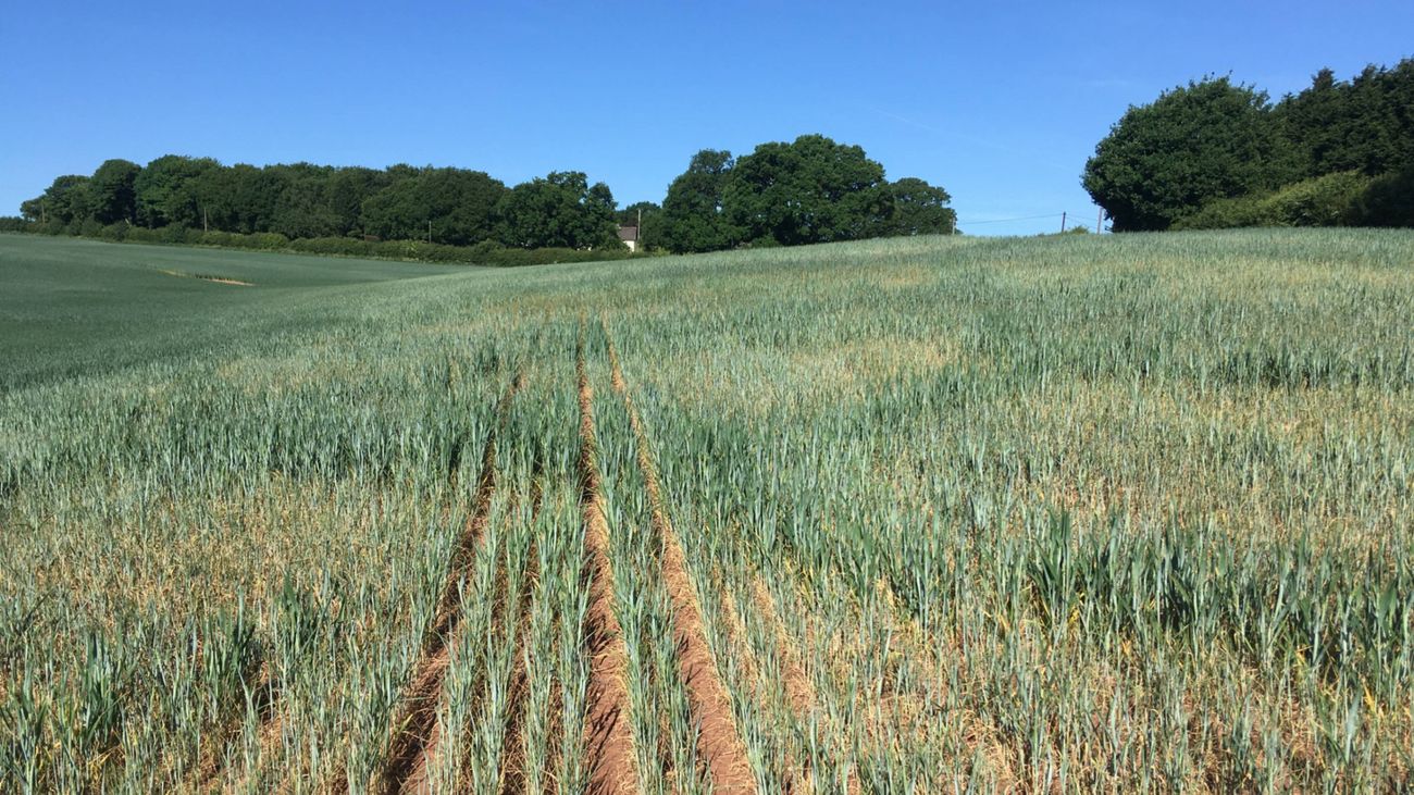 Climate Change is the Biggest Threat to Our Farmed Landscapes