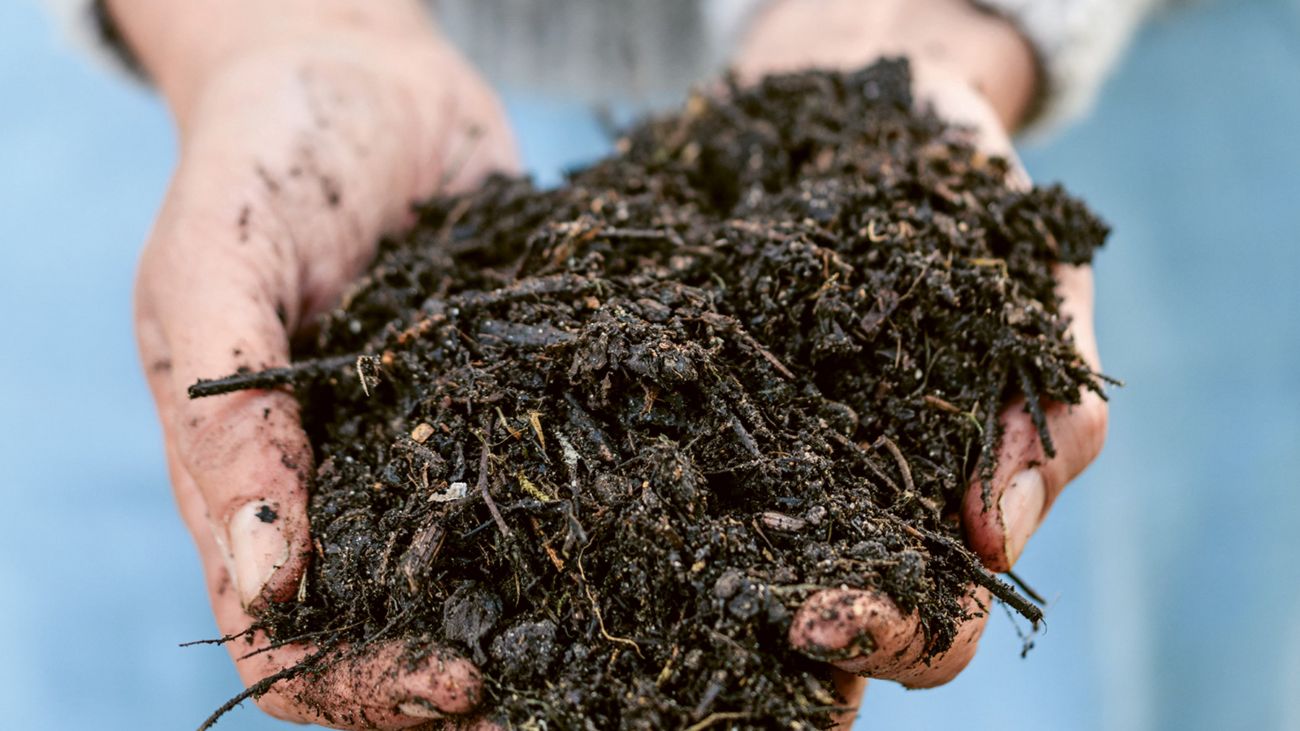 Unearthing the Secret to Longevity