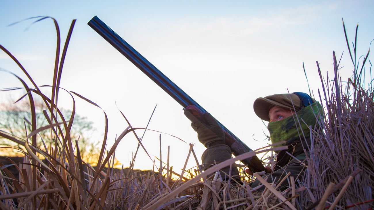'Influencers' vs. Experts: The Countryside's Dilemma