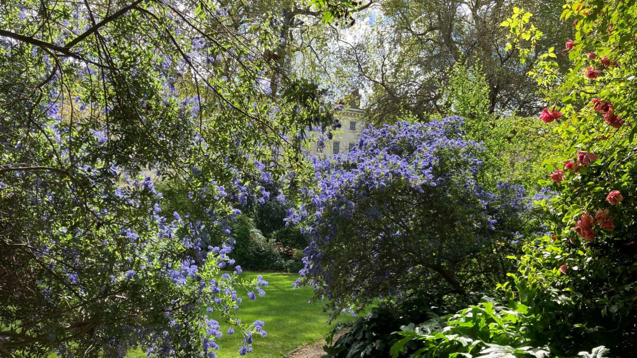 A garden full of surprises