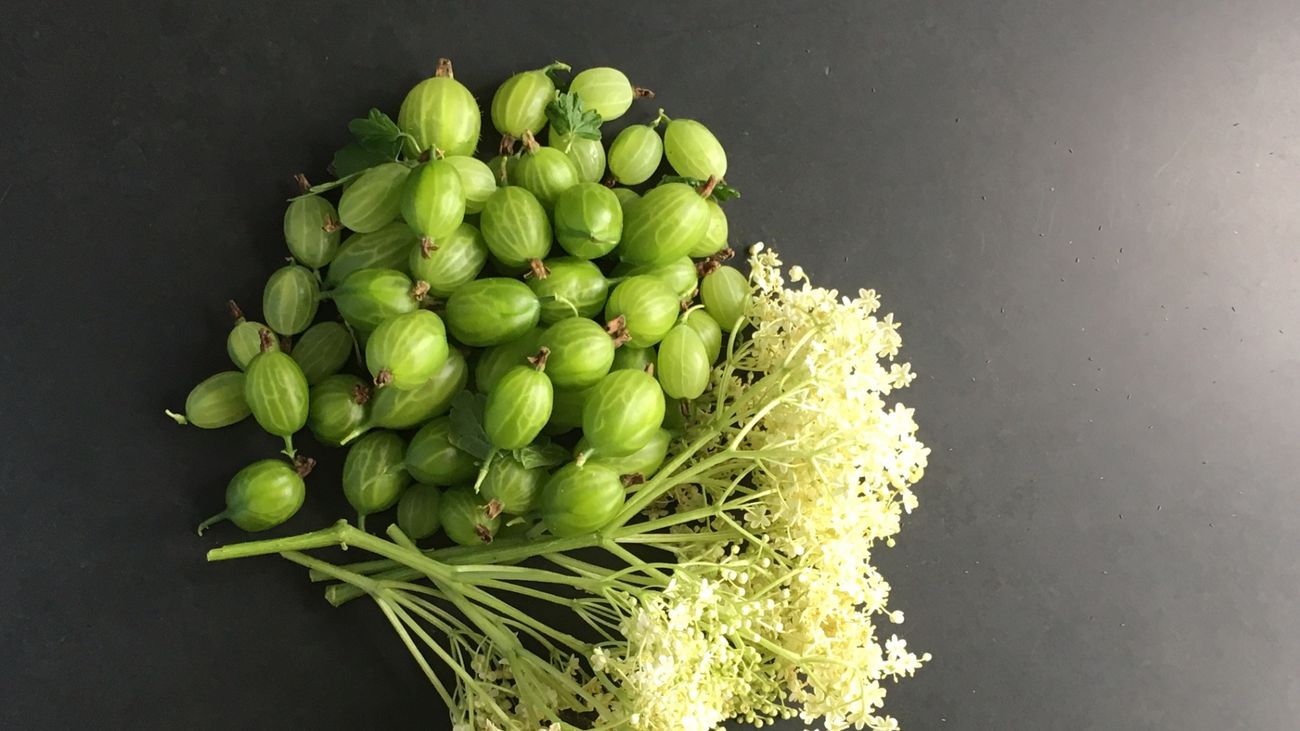 Beating the January Blues: Finding Joy in Growing Your Own Food