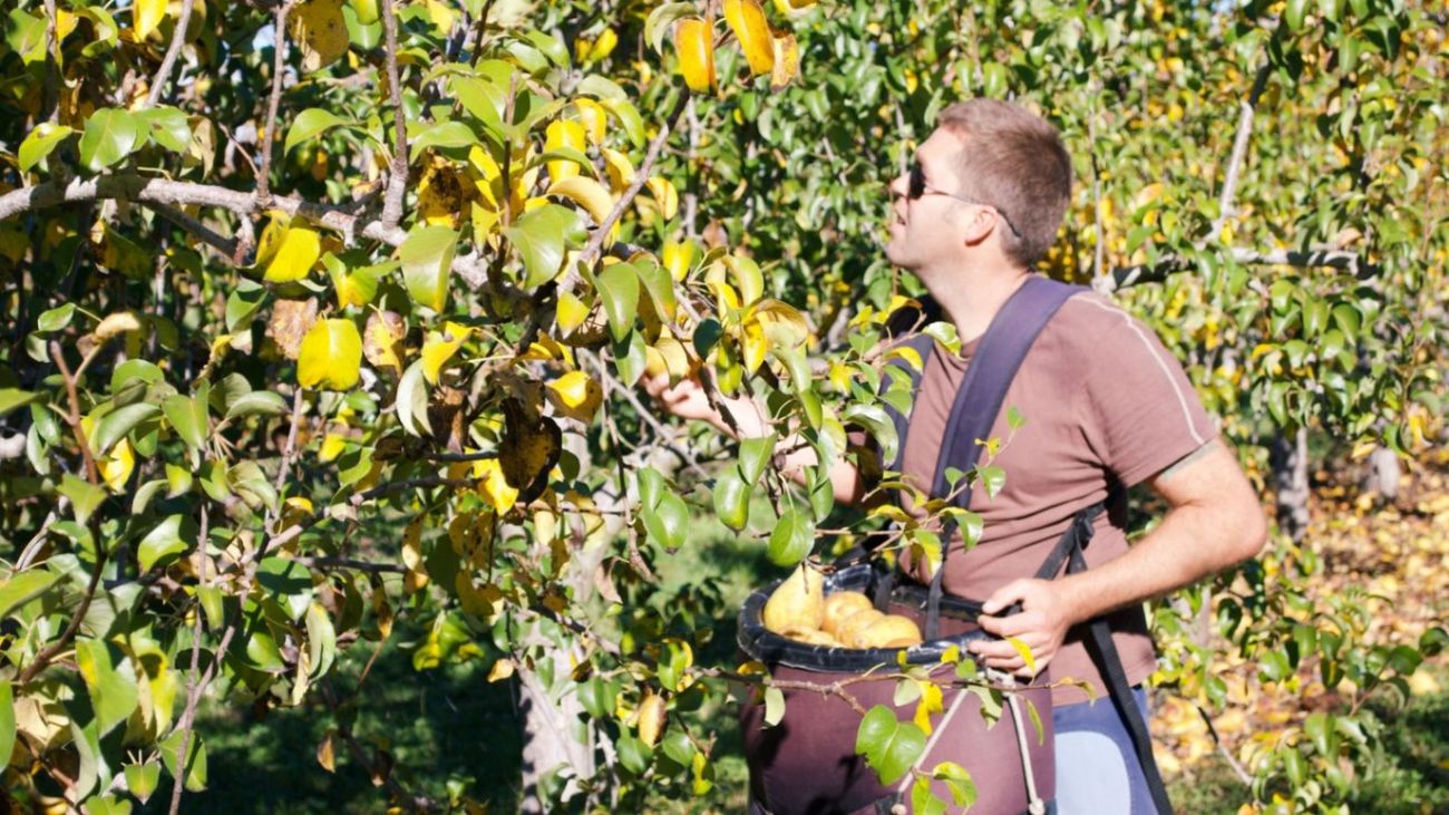 Clarkson Was Right: We Should Put Teenagers to Work on Farms