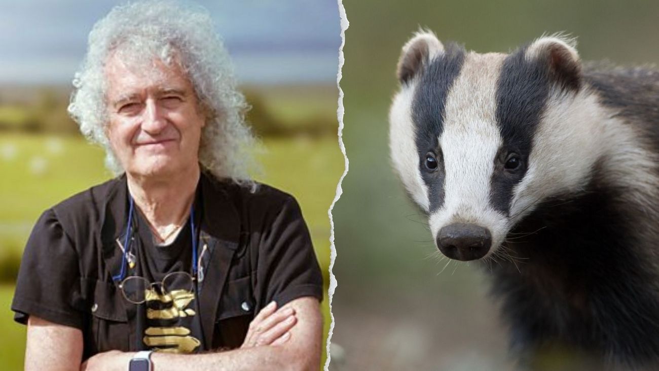 Bovine TB, Badgers, Brian May and the BBC