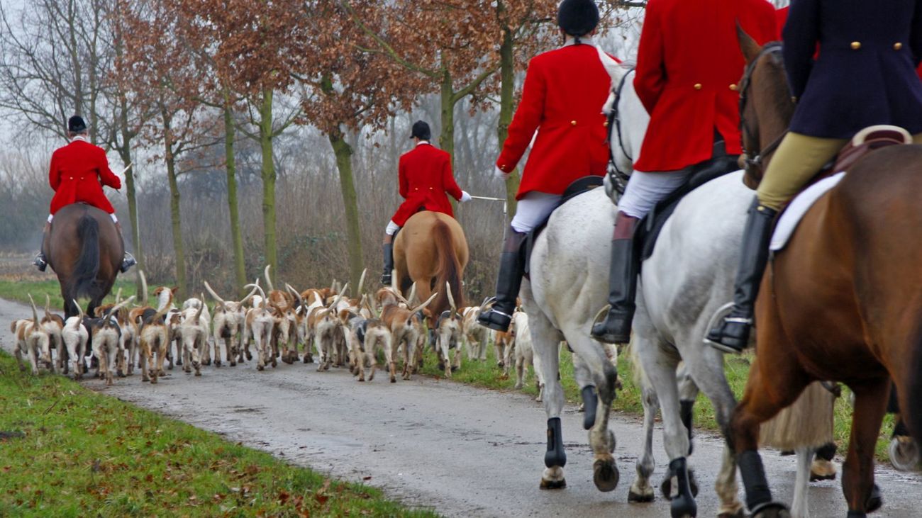 Why Has Labour Promised to “Fully Ban” Hunting?