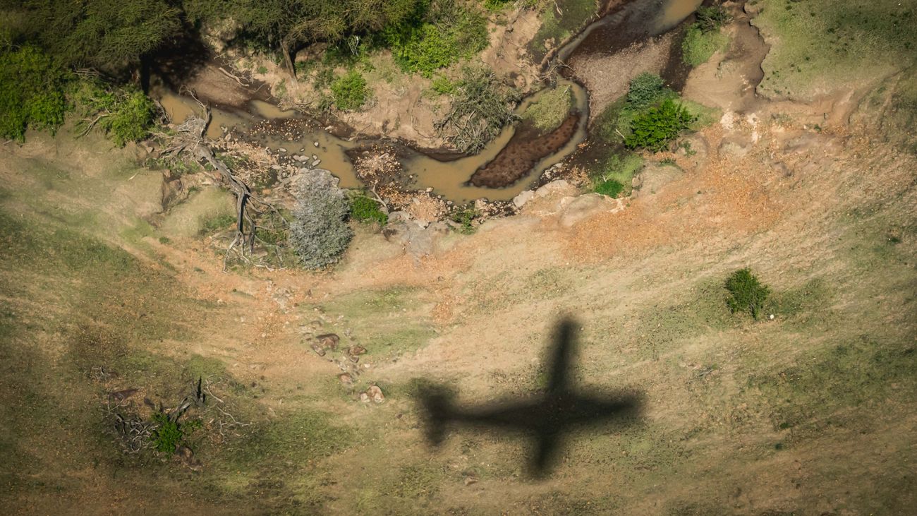 Adventures in Africa and Beyond: Facing My Fears Head-On