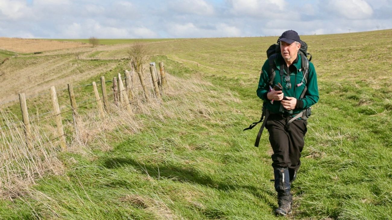 Want to Reconnect with Nature? Just Walk