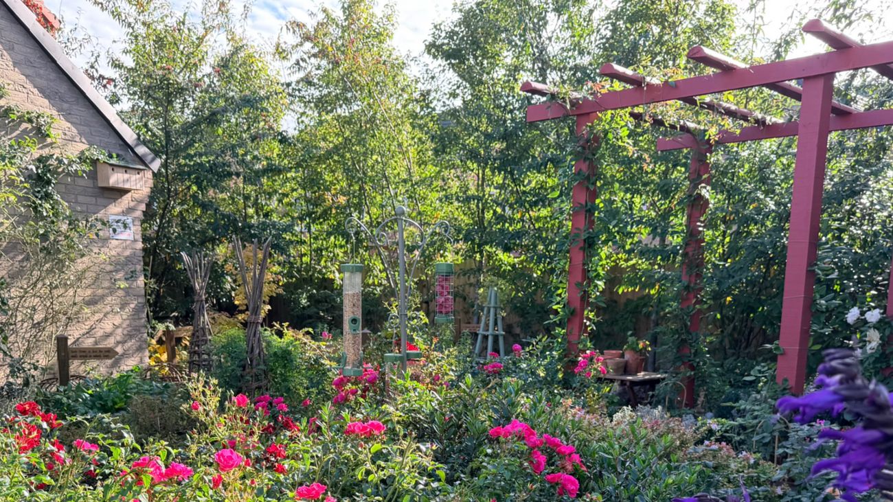Beyond How-To: Embracing Imperfect, Messy Gardening
