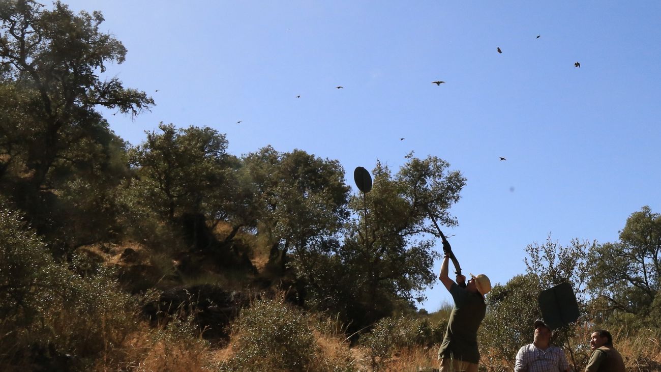 Spain Might Just Have the Best Shooting Estates... Here's Why