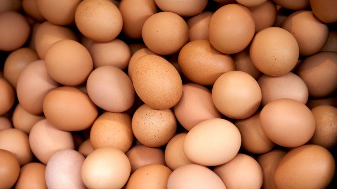 The Cluck Stops Here: A Tale of Eggs and Anglers