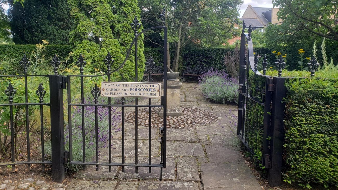 The Ghosts of Lavender Past