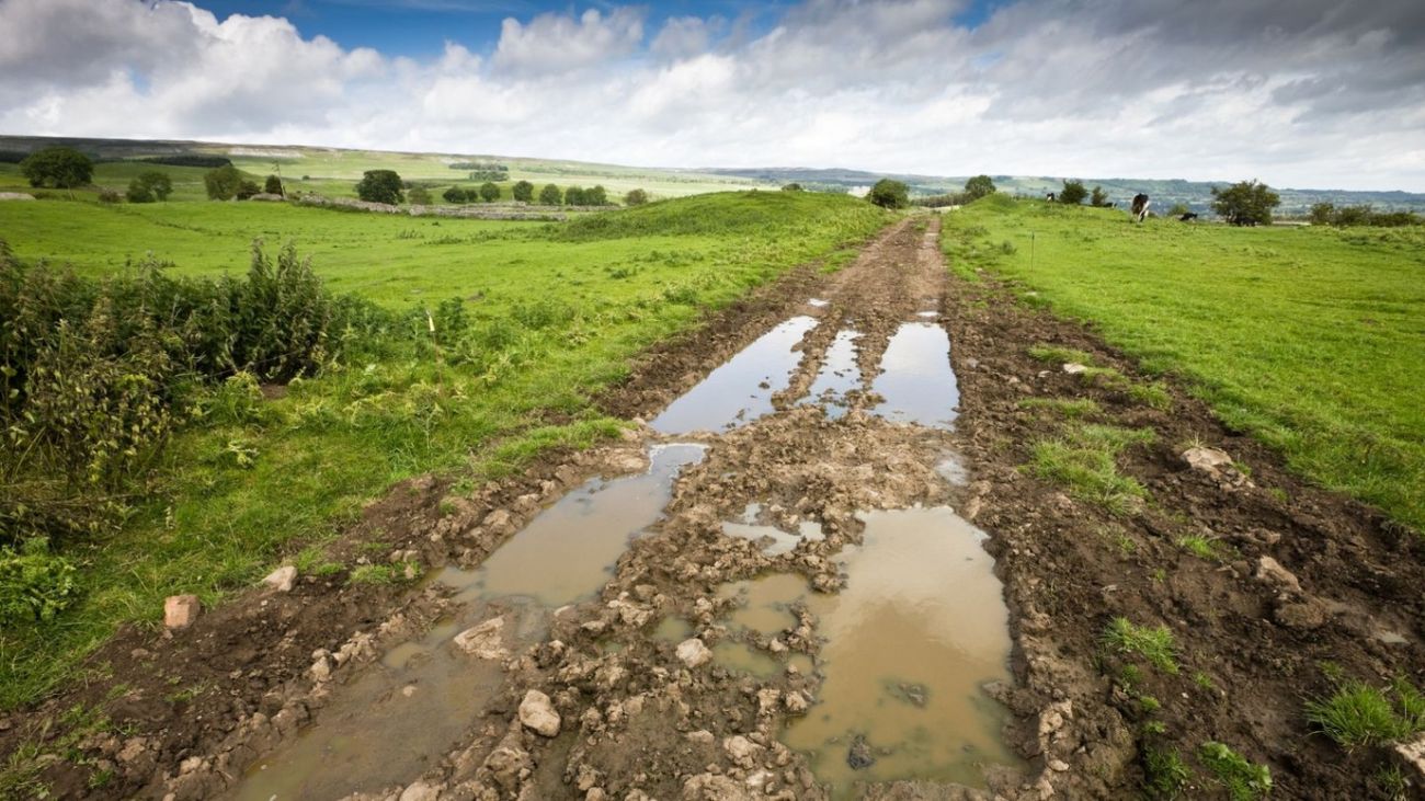 The countryside's mental health epidemic