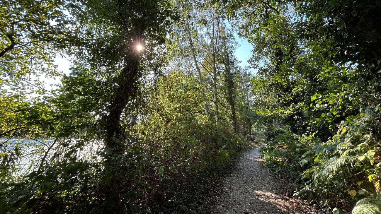 The Healing Power of Gardens: Designing it in