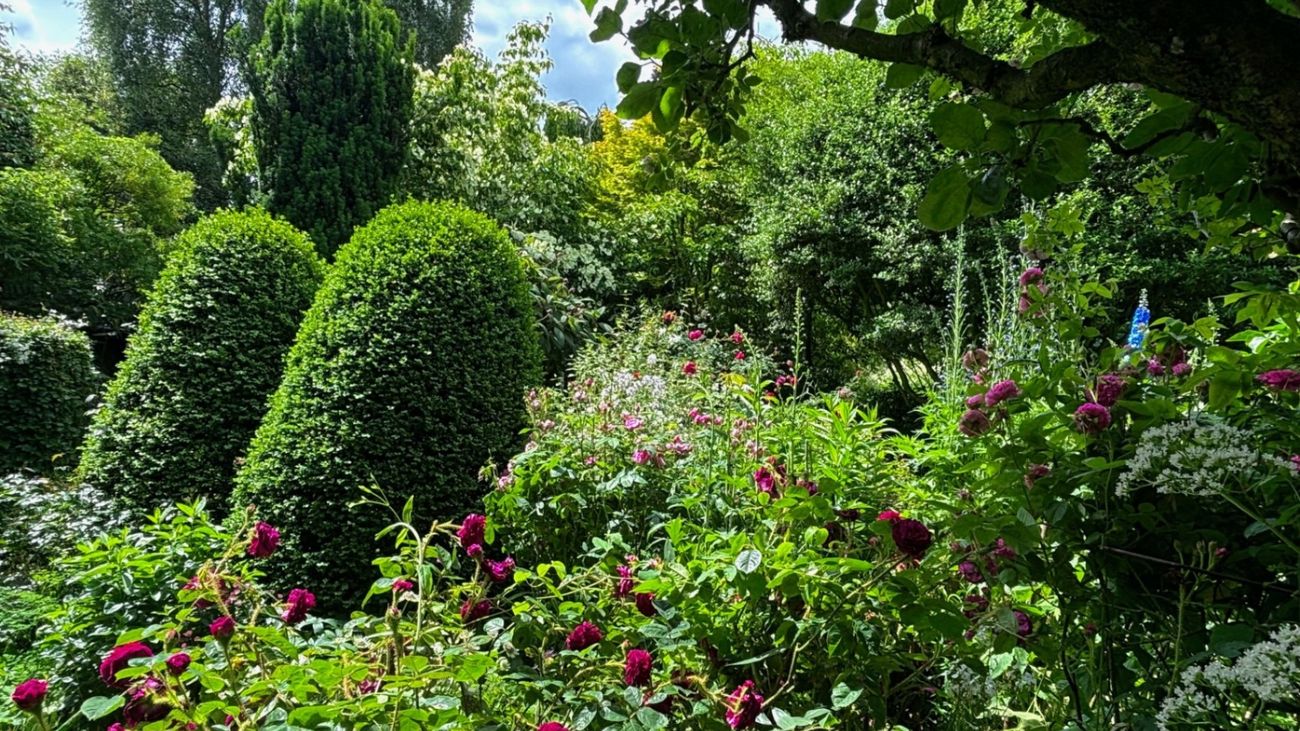 Gardens of Memory and Meaning