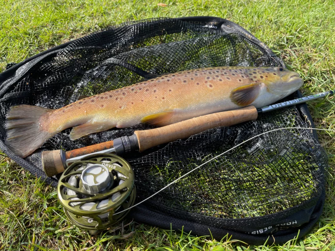 Upstream Dry Fly  Chalk Stream Fly Fishing Specialists in the UK
