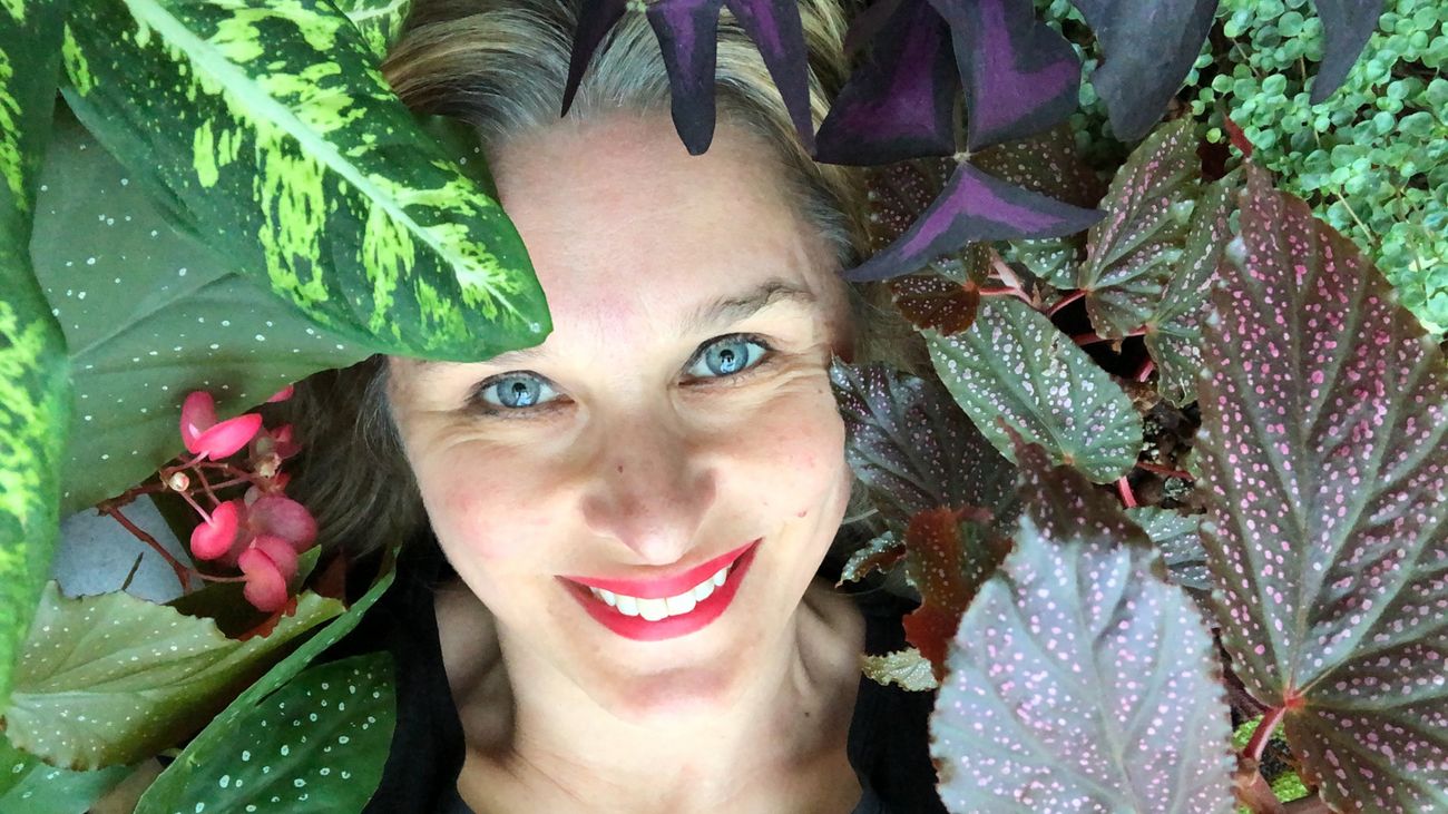 Don't buy Calatheas, and other tips for keeping your houseplants alive