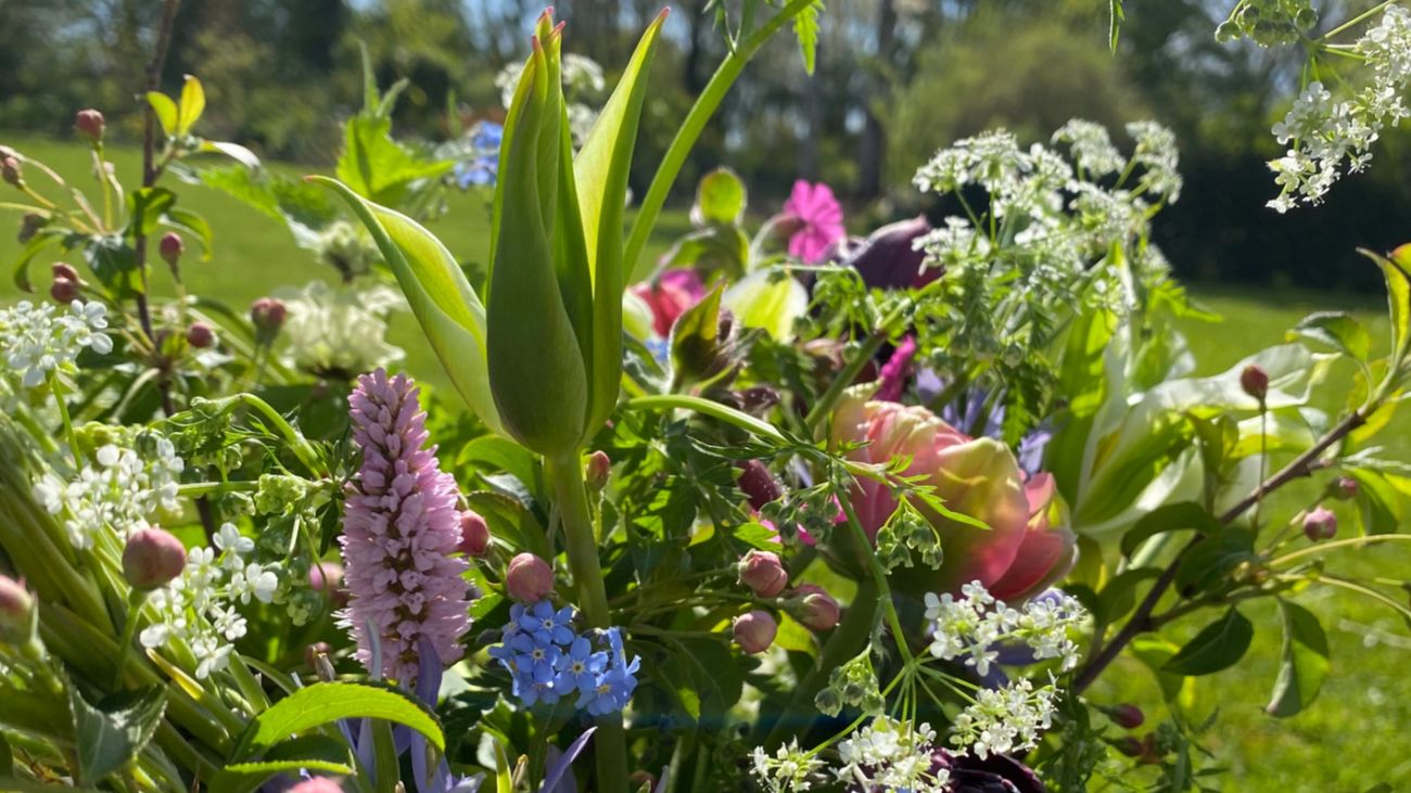 James and Joe are Fluent in the Language of Flowers
