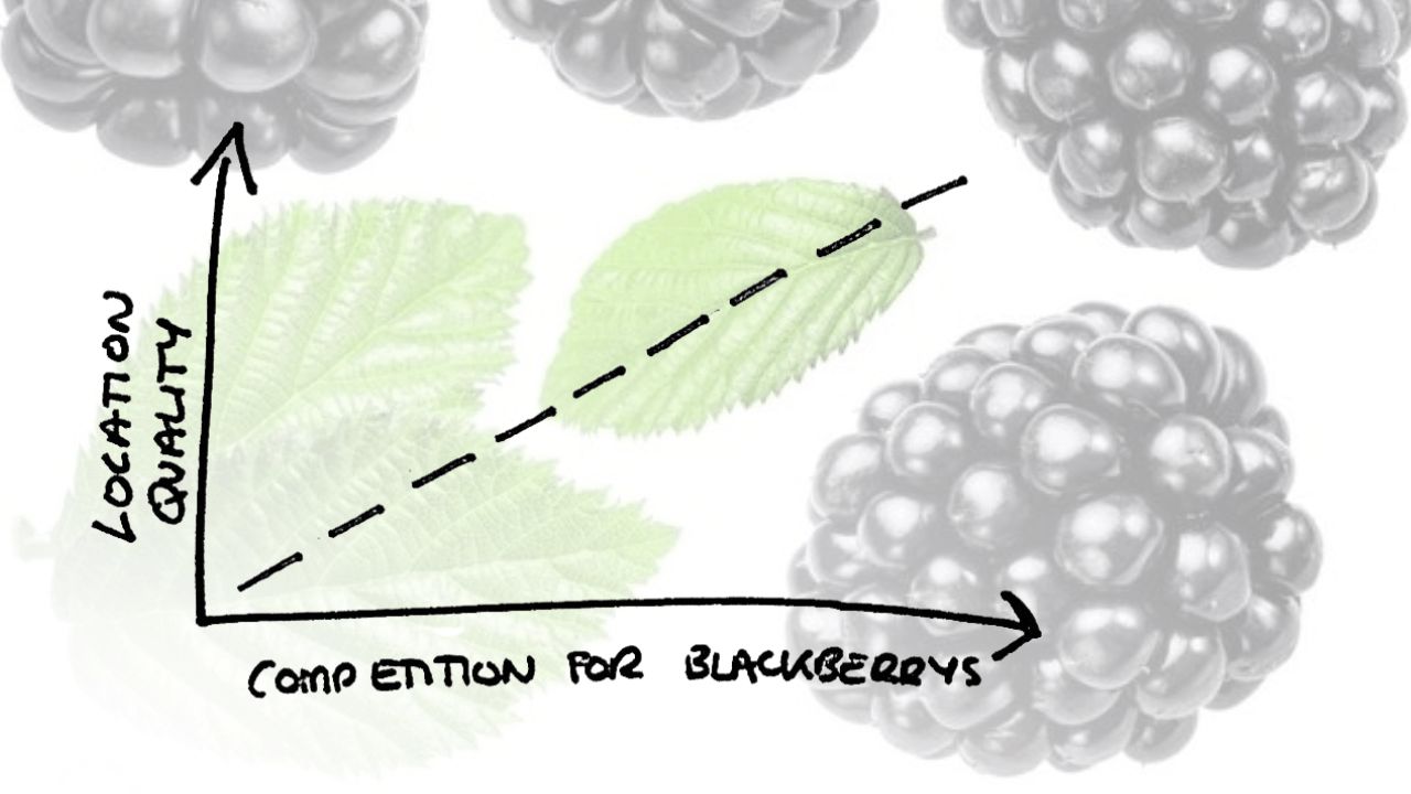 Cracking the Blackberry Code