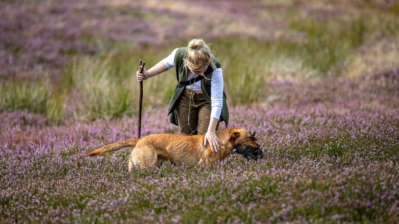 The Secret World of Picker Uppers: Behind the Scenes of a Serious Job