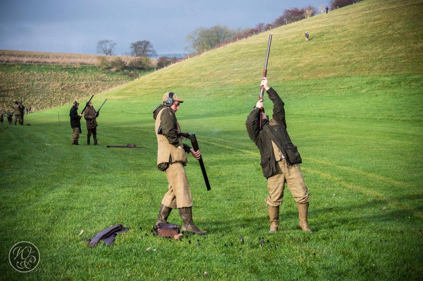 Driven Pheasant Line Shoots