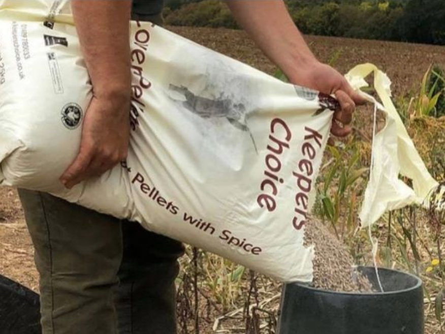 The price of game feed ShootHub by GunsOnPegs