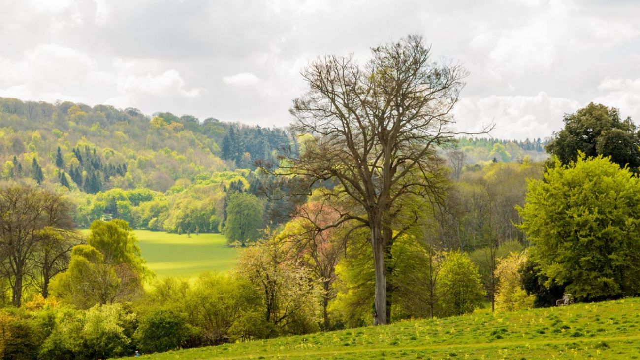 5 policies that could change rural Britain forever