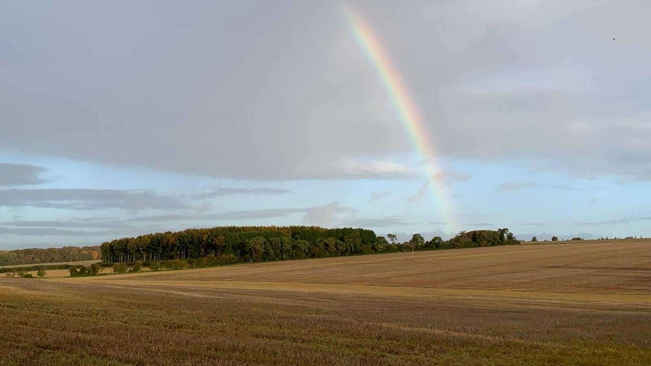 Hags, Nags and Ack-Ack Guns: The Tales Behind Our Farm's Field Names