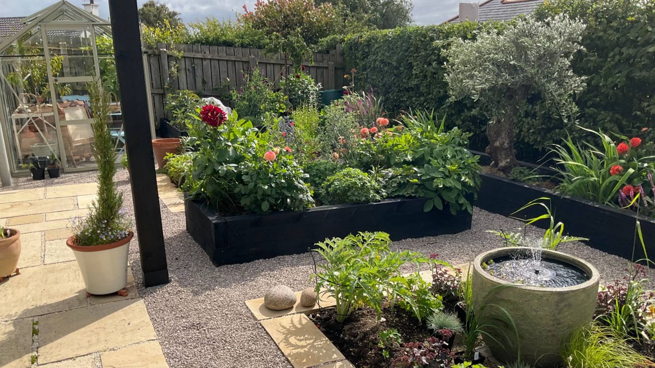 Cracking the Plant Code: A Botanical Conundrum