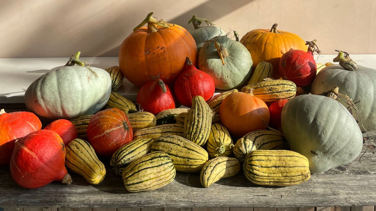 Cucurbits and Pieces