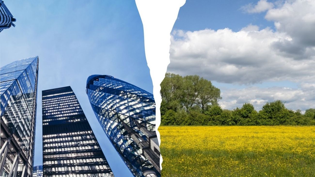 Investing in Nature... Rewilding's Financial Strategy