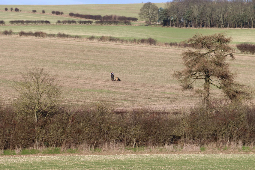 Black Park, North Yorkshire - Availability on GunsOnPegs