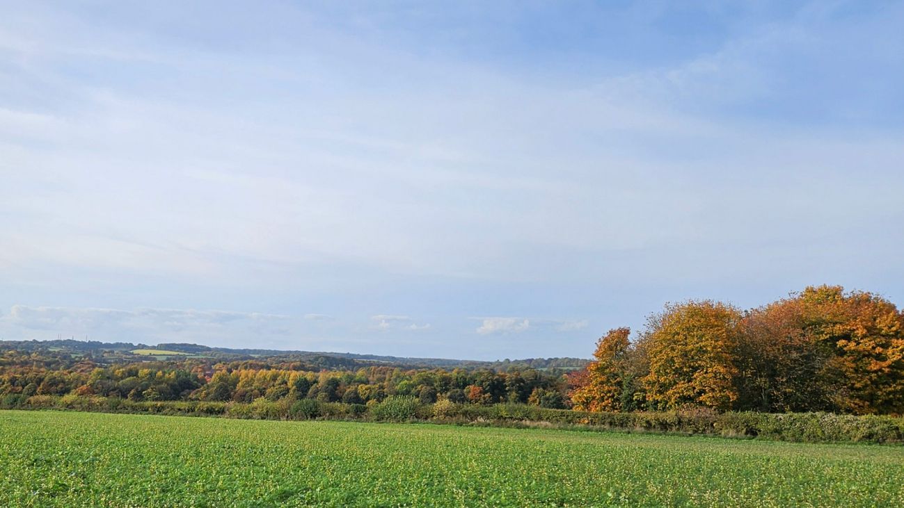 Why Autumn’s Wild Harvest Is a Seasonal Treasure Trove