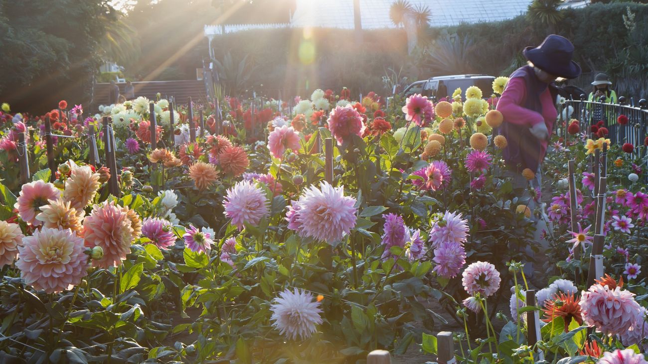 Is Your Garden Going to Sleep? No, It's Just Getting Started!