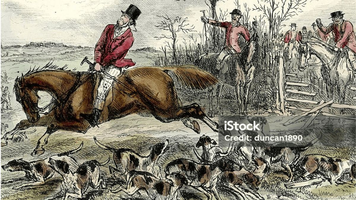'This Brightly Visualised World': A Cultural Erasure of Rural Britain