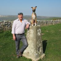Dave Ford