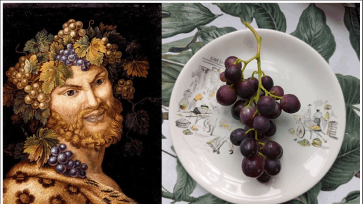 The Grape Expectations of an Accidental Viticulturist