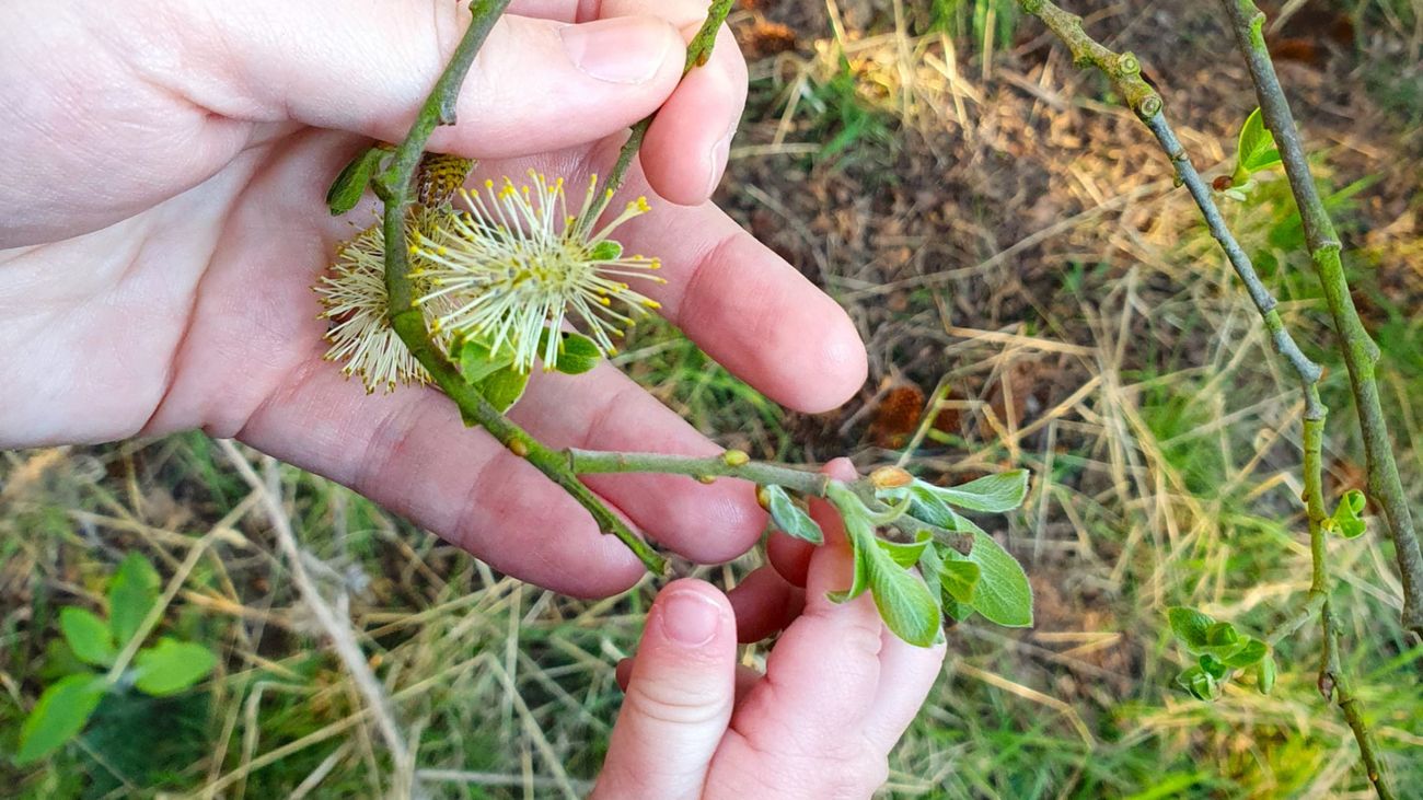 Mum's The Word: why we need to make it easier for mums to get outside