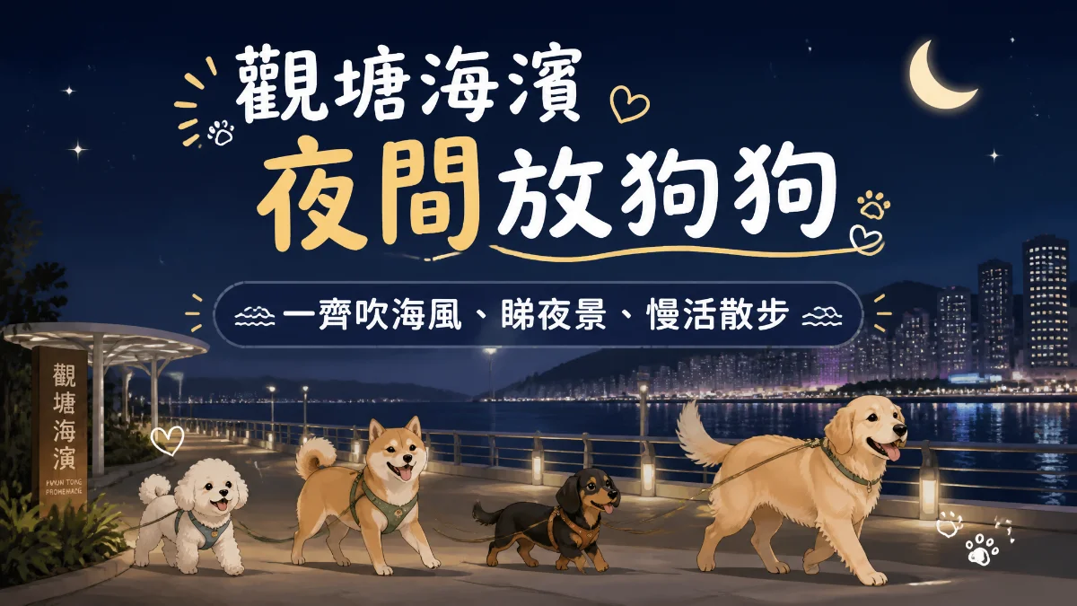 🌙 觀塘海濱夜間放狗團｜一齊吹海風、睇夜景、慢活散步
