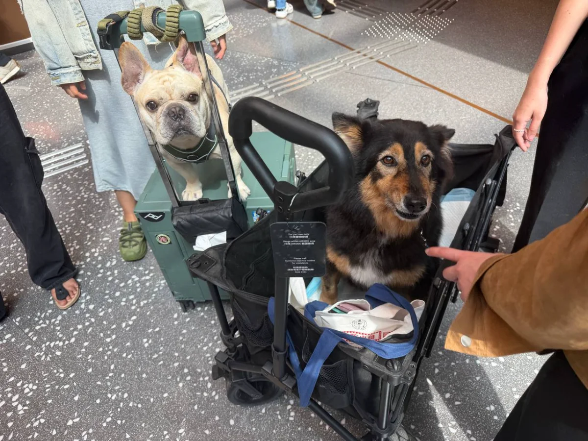 啟德Airside放風
