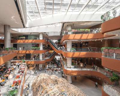 Which mall in Hong Kong is the best for bringing a dog — and why?