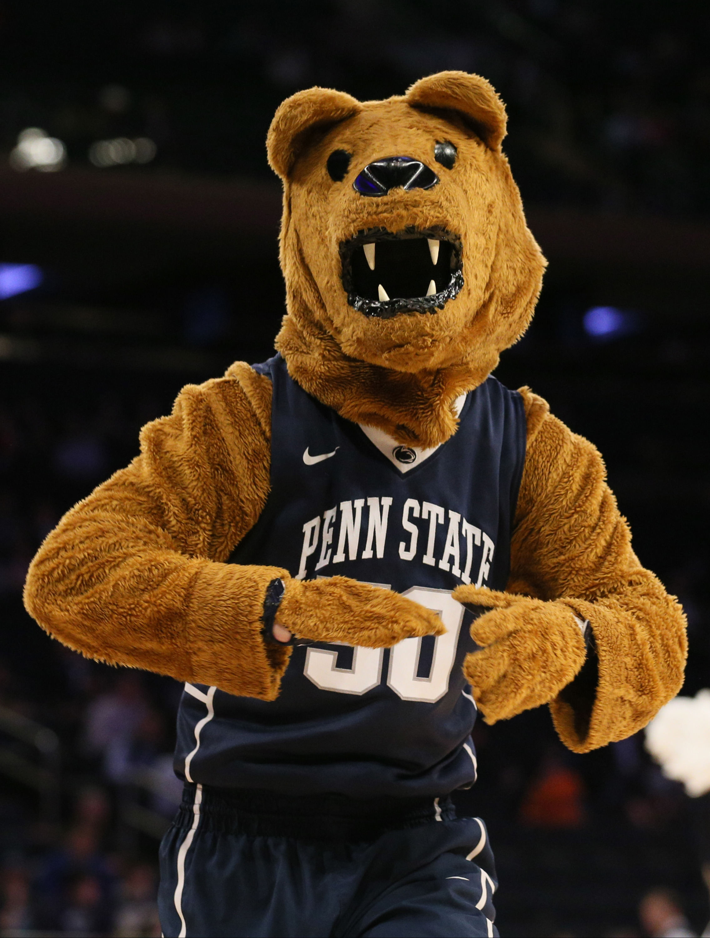 Nittany Lion Info Penn State Official Athletics Website