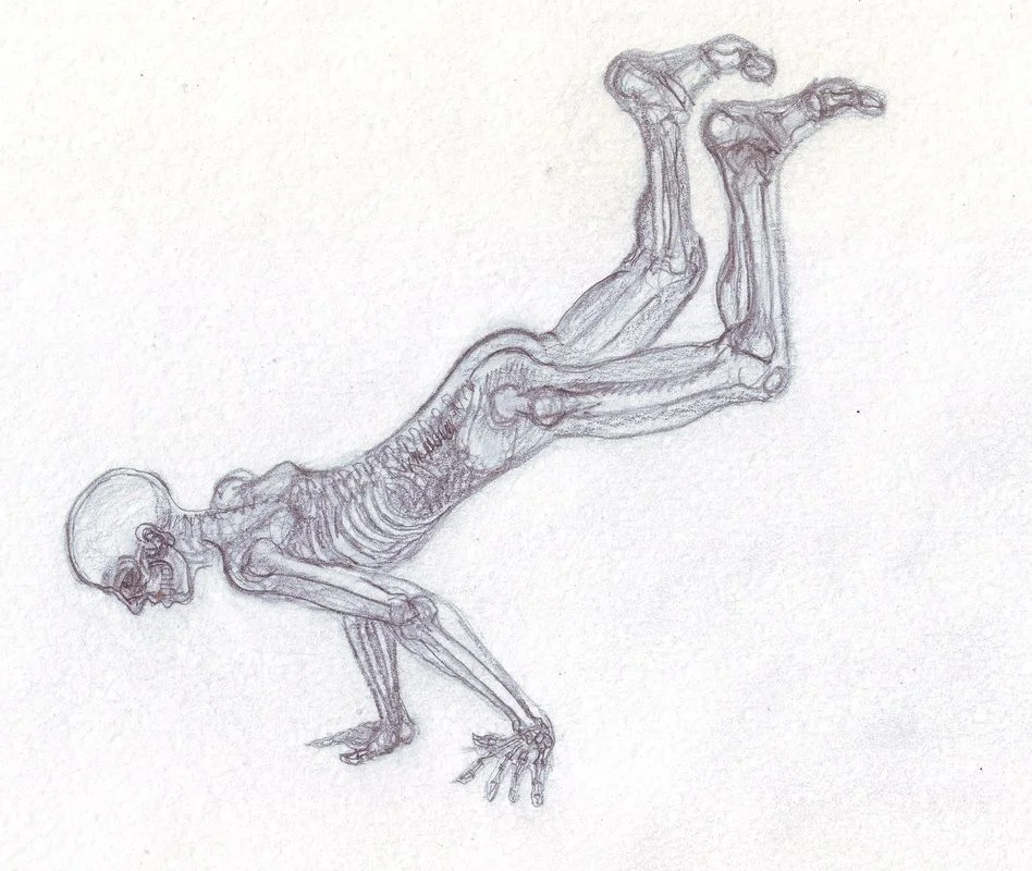 An upside-down anatomical figure with bent legs and hands extended.