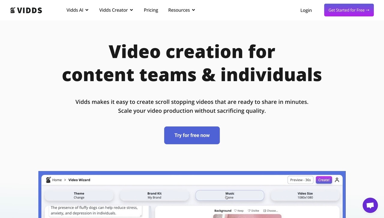 Landing page of Vidds