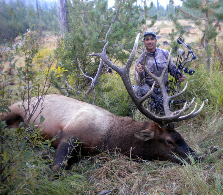 Four Tips for New Archery Elk Hunters