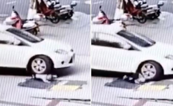 未料起身之後卻遭到車子輾斃